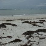 article image -